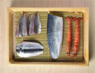 Kyoto’s Sushi Wakon Elevates Timeless Tradition